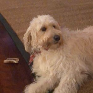 Meet your Posher, Christy